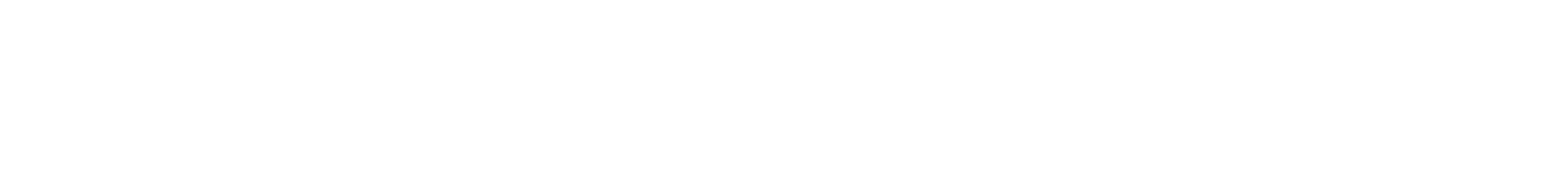 Ninja Network logo